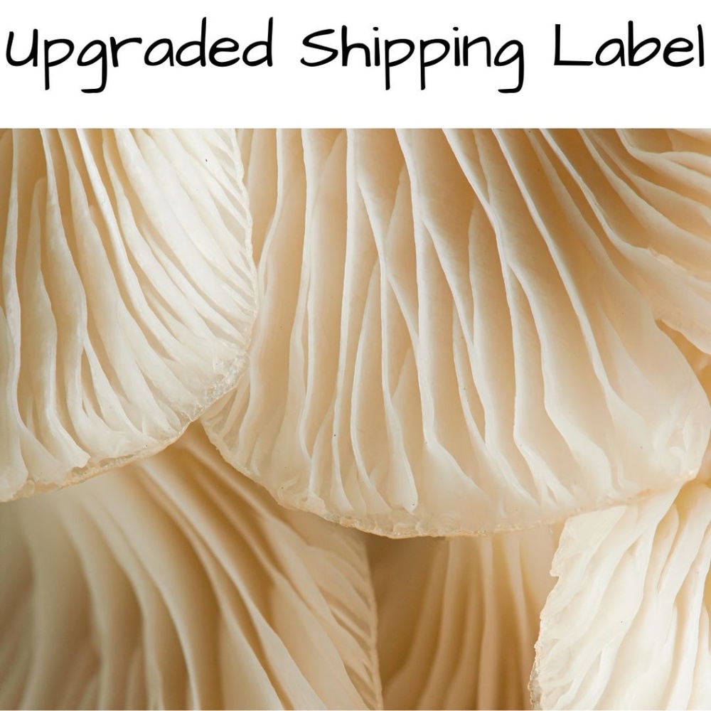 Upgraded Shipping Label